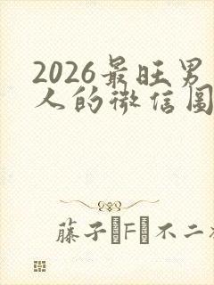 2026最旺男人的微信图片