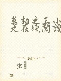 万相之王小说全文在线阅读