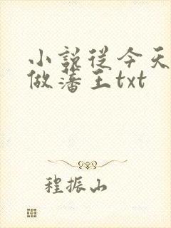 小说从今天开始做藩王txt