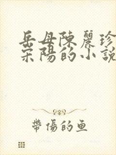 岳母陈丽珍女婿宋阳的小说免费