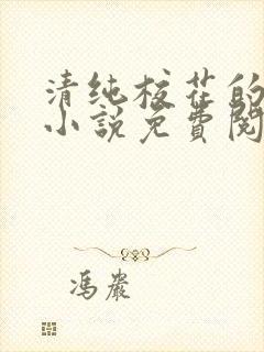 清纯校花的秘密小说免费阅读封面