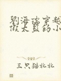 刘海瑞穿越后宫假太监的小说