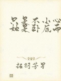 只是不小心发现她是卧底而已封面