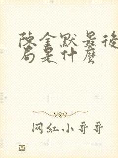 陈金默最后的结局是什么封面