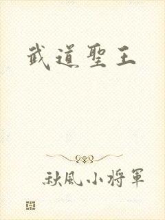 武道圣王