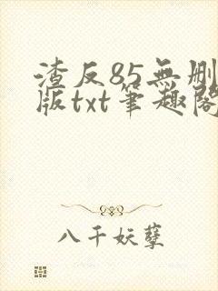 渣反85无删减版txt笔趣阁
