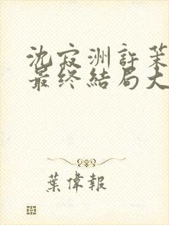 沈寂洲许茉孟姣最终结局大结局封面