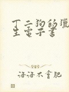 丁二狗的猎艳人生电子书