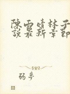 陈雨晴林子峰小说最新章节封面