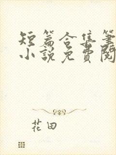 短篇合集笔趣阁小说免费阅读封面
