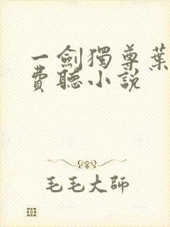 一剑独尊叶玄免费听小说