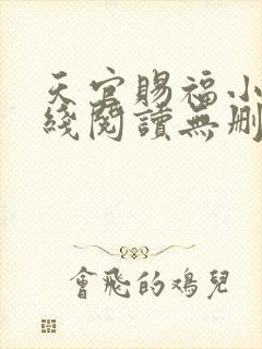 天官赐福小说在线阅读无删减封面