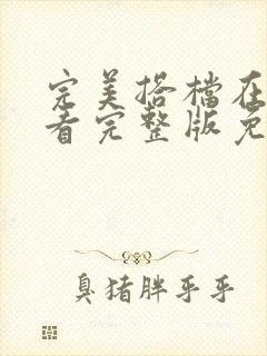 完美搭档在线观看完整版免费高清