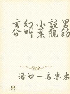 玄幻小说男主人公叫叶观的小说