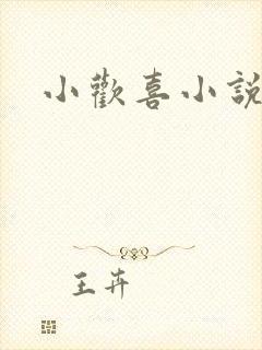 小欢喜小说