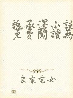 魏承泽小说全文免费阅读无弹窗笔趣