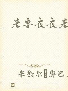老鲁夜夜老鲁