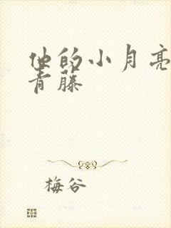 他的小月亮by青藤