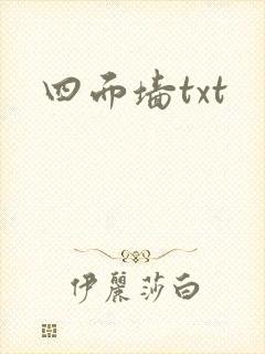 四面墙txt