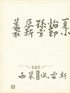 叶辰孙怡夏若雪最新章节小说封面