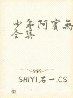 少年阿宾无删减全集封面