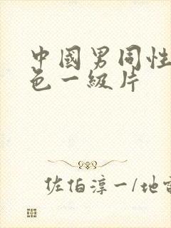 中国男同性恋黄色一级片封面