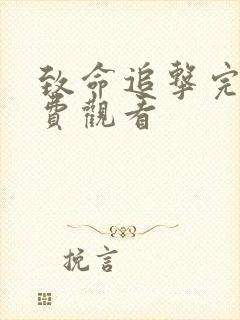 致命追击完整免费观看封面