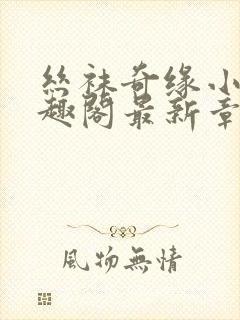 丝袜奇缘小说笔趣阁最新章节更新时间