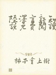 陆泽言许知夏小说免费阅读最新章节封面