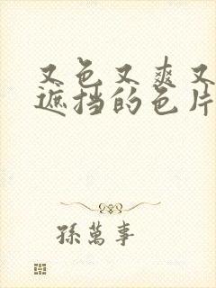 又色又爽又黄无遮挡的色片封面