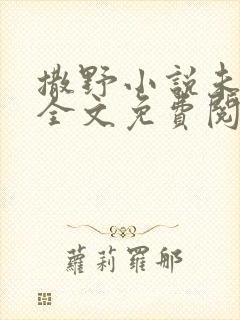 撒野小说未删版全文免费阅读