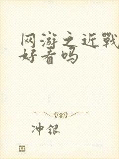 网游之近战法师好看吗