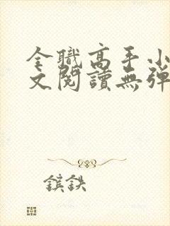 全职高手小说全文阅读无弹窗