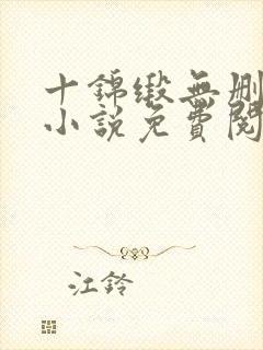 十锦缎无删原著小说免费阅读封面