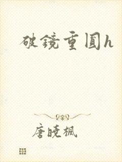 破镜重圆h