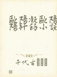 欧阳凝欧阳雷欧阳轩的小说叫啥封面