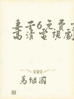 妻子6免费完整高清电视剧在线看封面