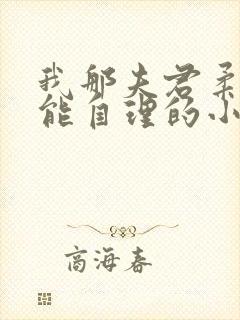 我那夫君柔弱不能自理的小说