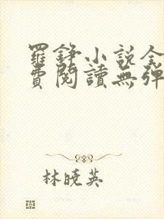 罗铮小说全文免费阅读无弹窗