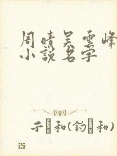 周晴吴云峰李磊小说名字