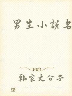 男生小说名字封面