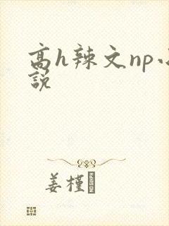 高h辣文np小说封面