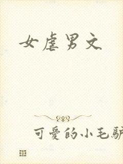 女虐男文封面