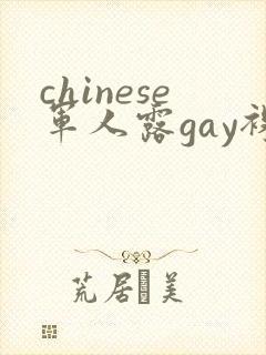 chinese军人露gay裸体网站封面