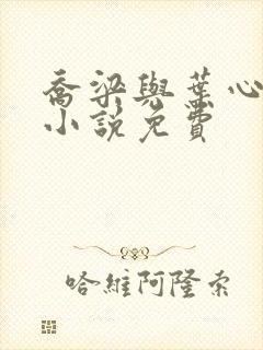 乔梁与叶心仪的小说免费封面