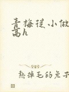 青梅从小做到大高h