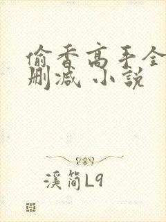 偷香高手全文无删减 小说