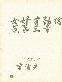 女婿有劲枪枪到底第三章