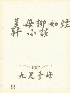 美母柳如烟,柳轩 小说