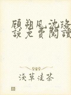 顾朔风沈珞舒小说免费阅读最新章节封面